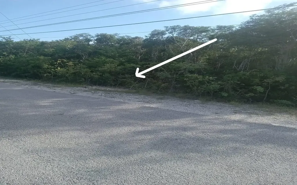 Lot 1b, Millers Long Island BS