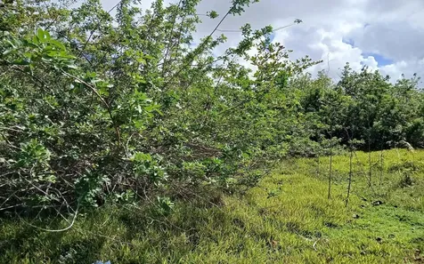 Lot 1b, Millers Long Island BS