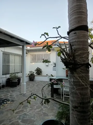 Bayview Drive New Providence Paradise Island BS