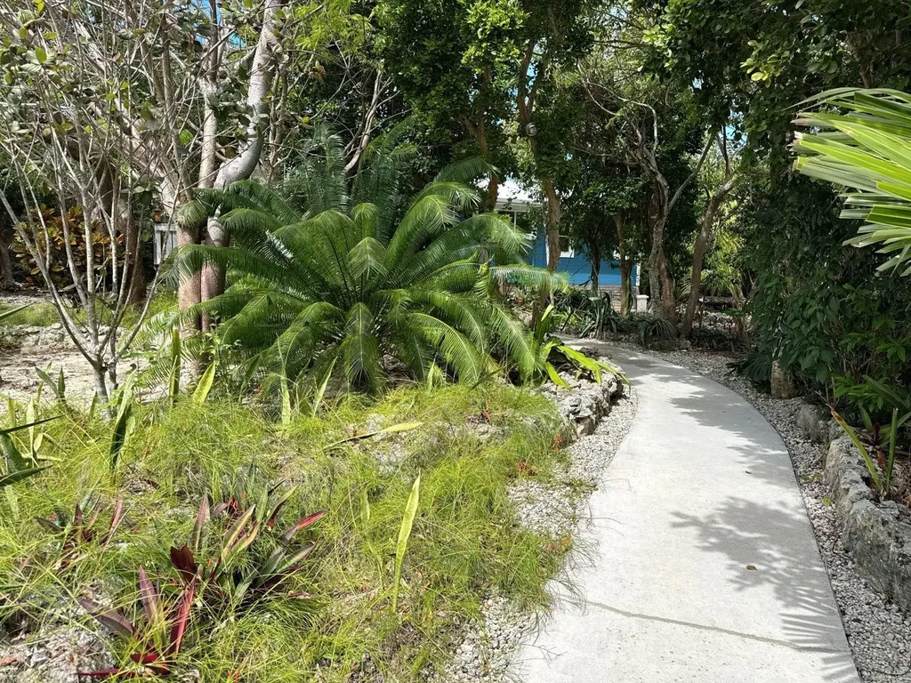 The Green House, Cat 6 Ca Abaco BS