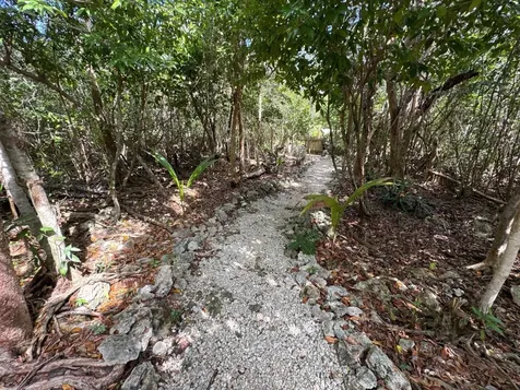 The Green House, Cat 6 Ca Abaco BS