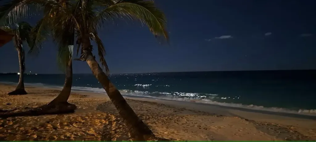 Coral Beach Hotel Grand Bahama Freeport BS