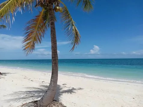 Coral Beach Hotel Grand Bahama Freeport BS