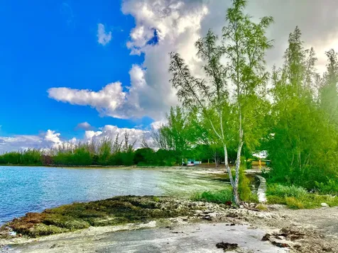 Green Castle 12-acre Lot Eleuthera BS