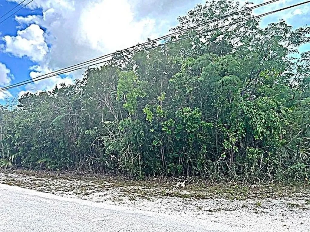 2 Acre Parcel Long Island BS