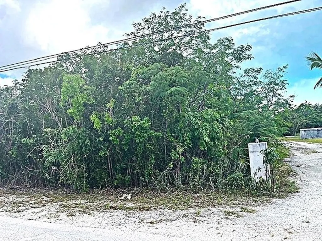 2 Acre Parcel Long Island BS