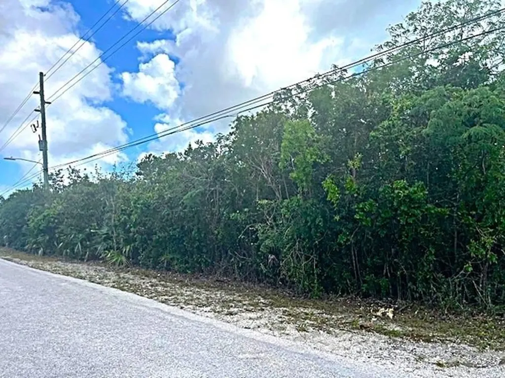 2 Acre Parcel Long Island BS