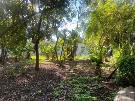 Pinedale Subdivision 13a & B New Providence Paradise Island BS