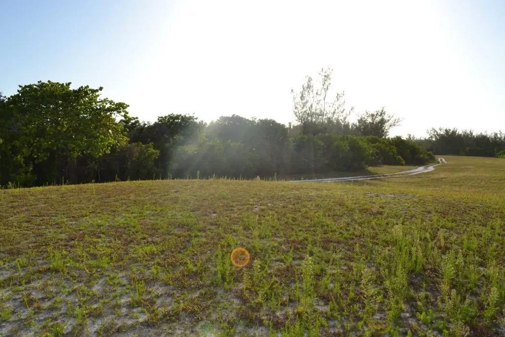 Fox Hill 1 New Providence Paradise Island BS