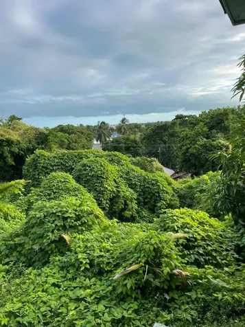 Fox Hill 1 New Providence Paradise Island BS