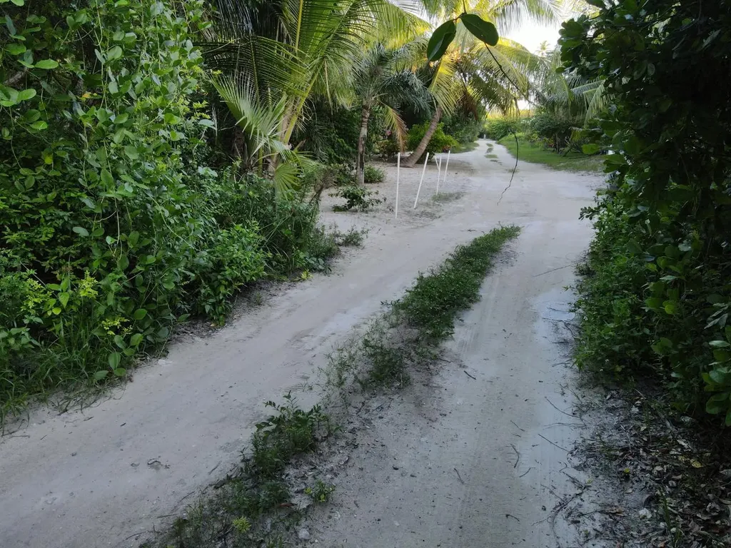 Double Bay Bay Lot 5-c Eleuthera BS