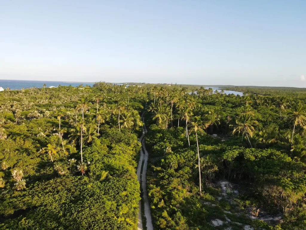 Palmetto Point Lot 6-b Eleuthera BS