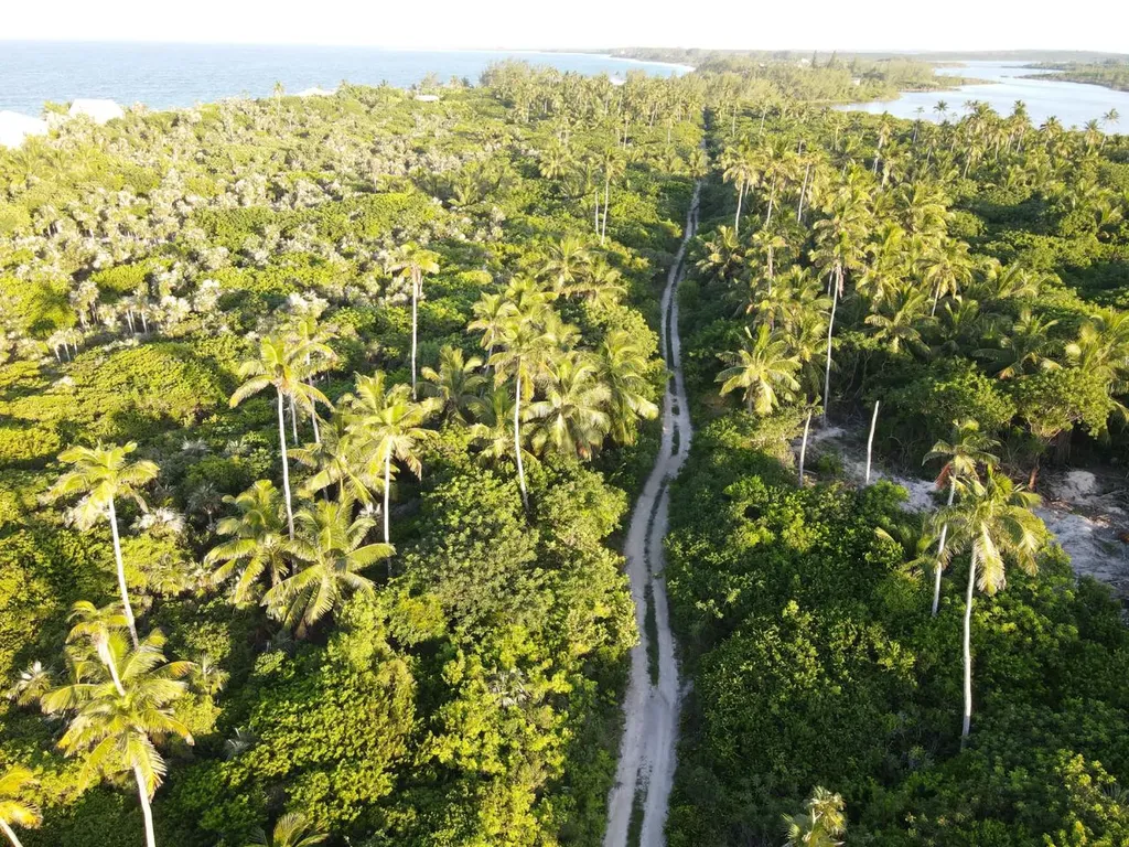 Palmetto Point Lot 6-b Eleuthera BS
