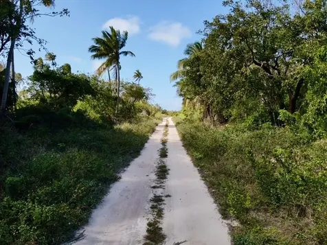 Palmetto Point Lot 6-b Eleuthera BS