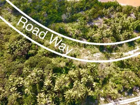 Palmetto Point Lot 6-b Eleuthera BS