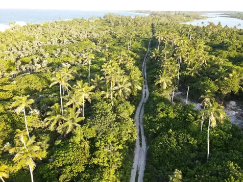 Palmetto Point Lot 6-b Eleuthera BS