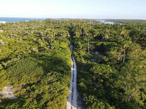 Palmetto Point Lot 6-b Eleuthera BS
