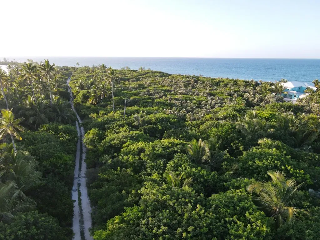 Beachfront Lot 6a Palmett Eleuthera BS