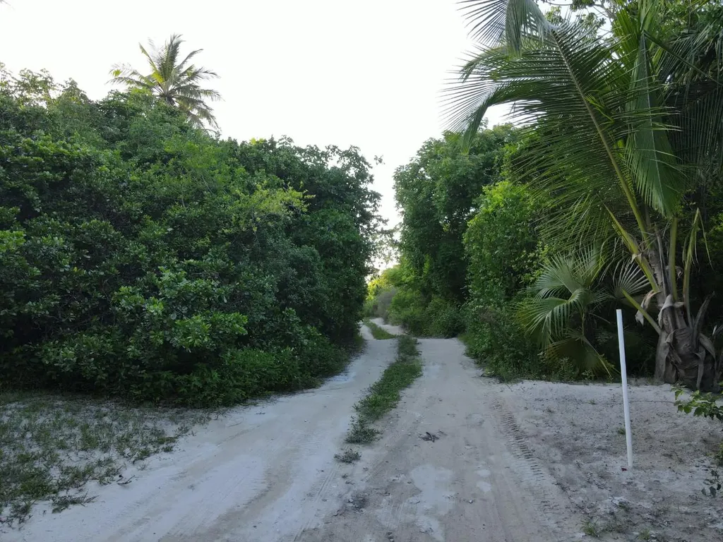 Beachfront Lot 6a Palmett Eleuthera BS
