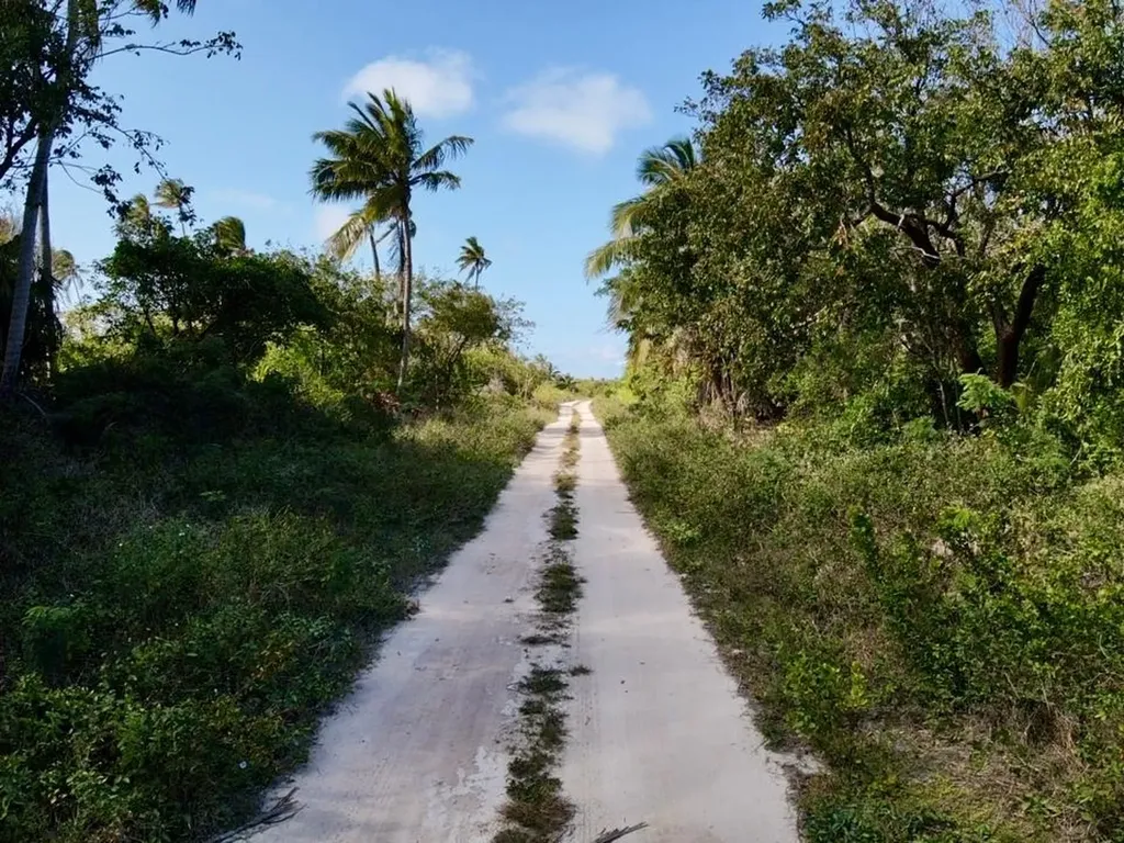 Beachfront Lot 6a Palmett Eleuthera BS