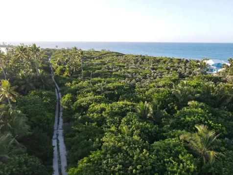 Beachfront Lot 6a Palmett Eleuthera BS