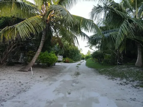 Beachfront Lot 6a Palmett Eleuthera BS