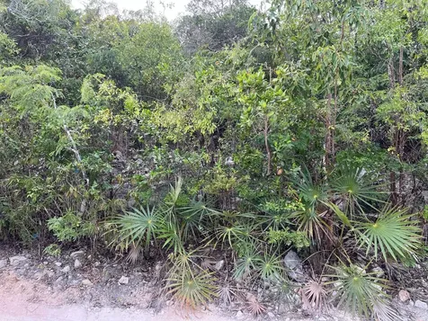 Lot 17292 Bahama Sound 18 Exuma BS