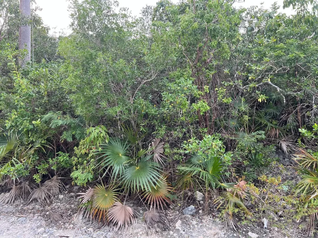 Lot 17293 Bahama Sound 18 Exuma BS