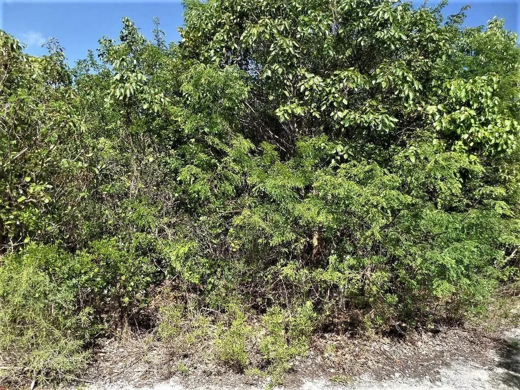 Lot# 20 Stella Maris Long Island BS