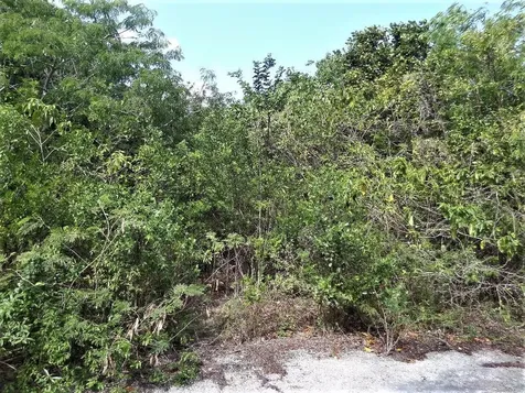 Lot# 20 Stella Maris Long Island BS