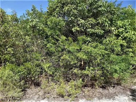 Lot# 20 Stella Maris Long Island BS