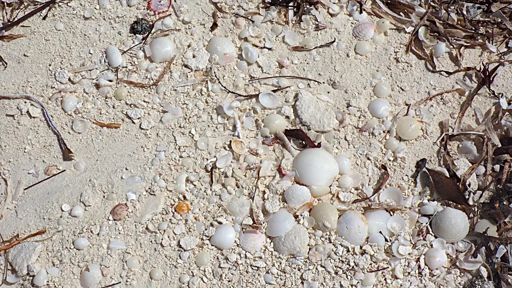 Cape Santa Maria Beach Lo Long Island BS