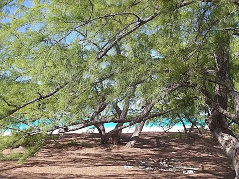 Cape Santa Maria Beach Lo Long Island BS