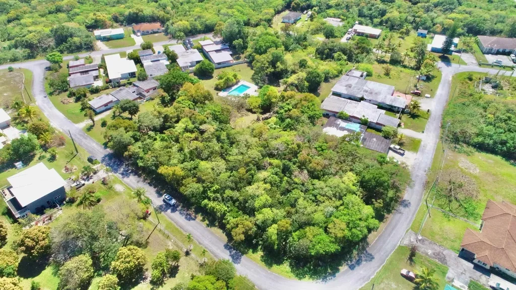 Grand Bahama Freeport BS, 4-7. 15-20 Continental Park