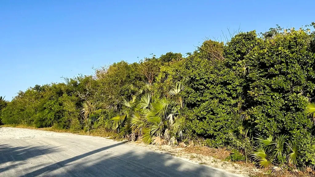 Signal Light Road Eleuthera BS