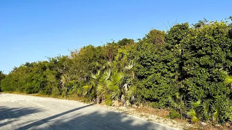 Signal Light Road Eleuthera BS