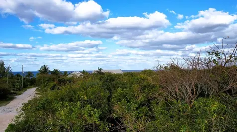 Signal Light Road Eleuthera BS