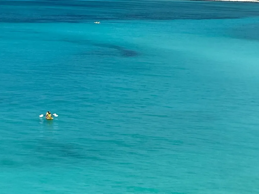 Conchrest New Providence Paradise Island BS