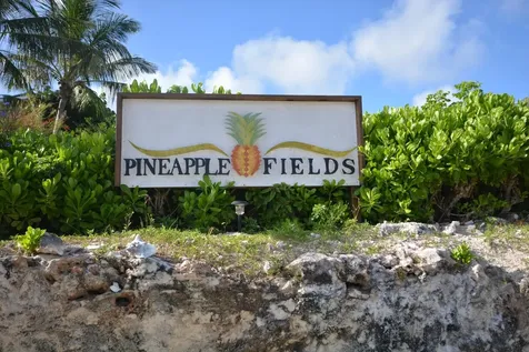 Pineapple Fields Eleuthera BS