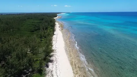 Bootle Bay, Oceanfront Estate Grand Bahama Freeport BS