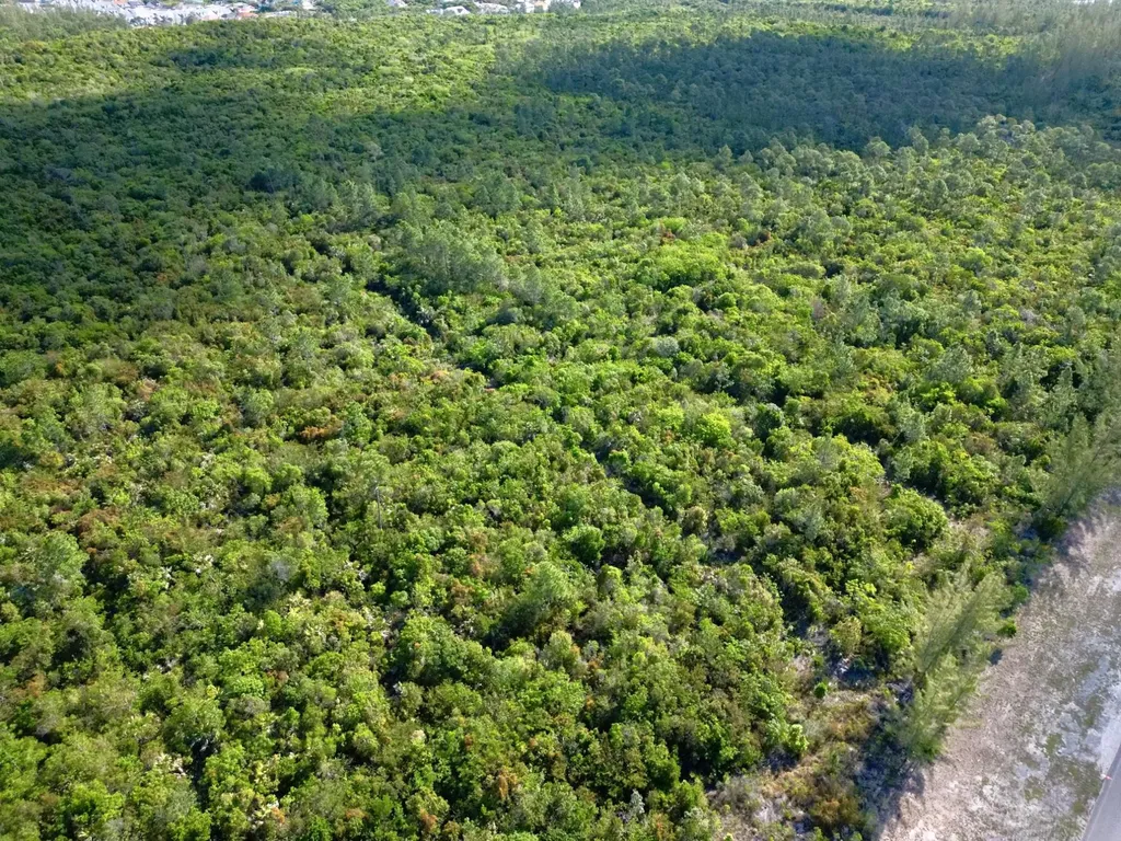 Frank Watson Boulevard New Providence Paradise Island BS