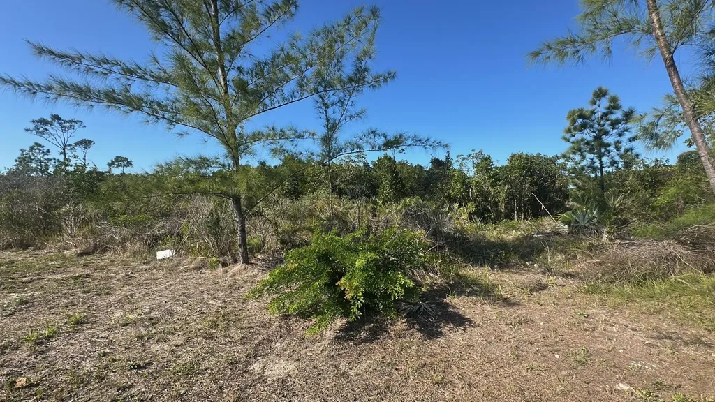 Frank Watson Boulevard New Providence Paradise Island BS