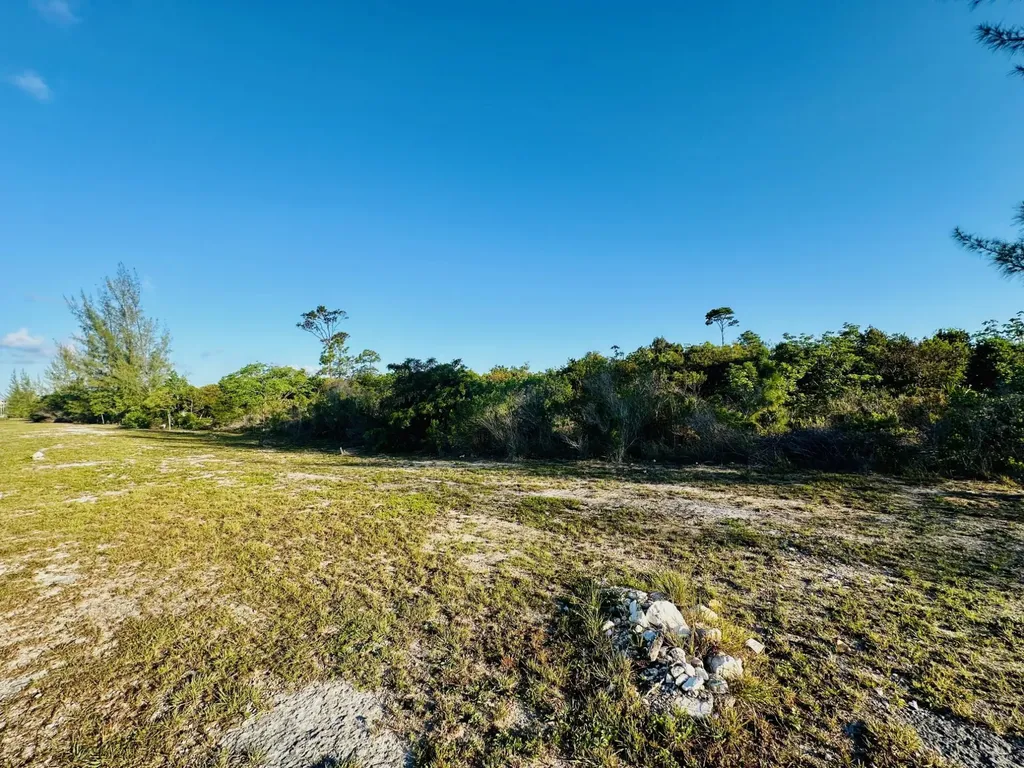 Frank Watson Boulevard New Providence Paradise Island BS