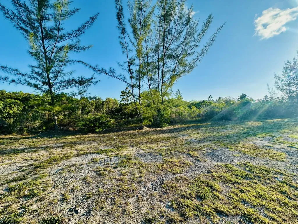 Frank Watson Boulevard New Providence Paradise Island BS
