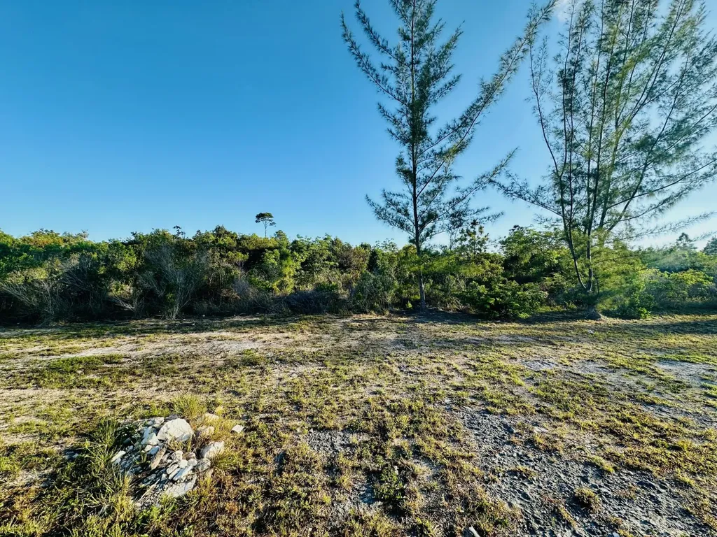Frank Watson Boulevard New Providence Paradise Island BS