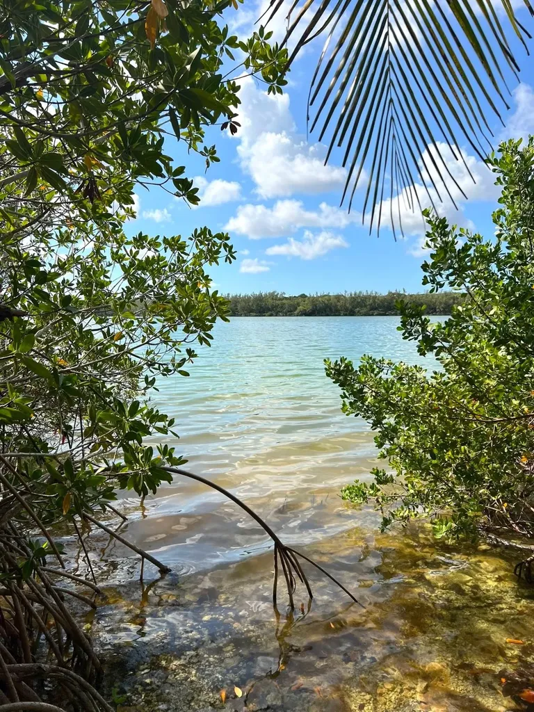 Oakhill Road 9 New Providence Paradise Island BS