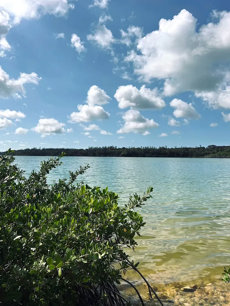 Oakhill Road 9 New Providence Paradise Island BS
