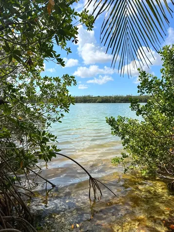 Oakhill Road 9 New Providence Paradise Island BS