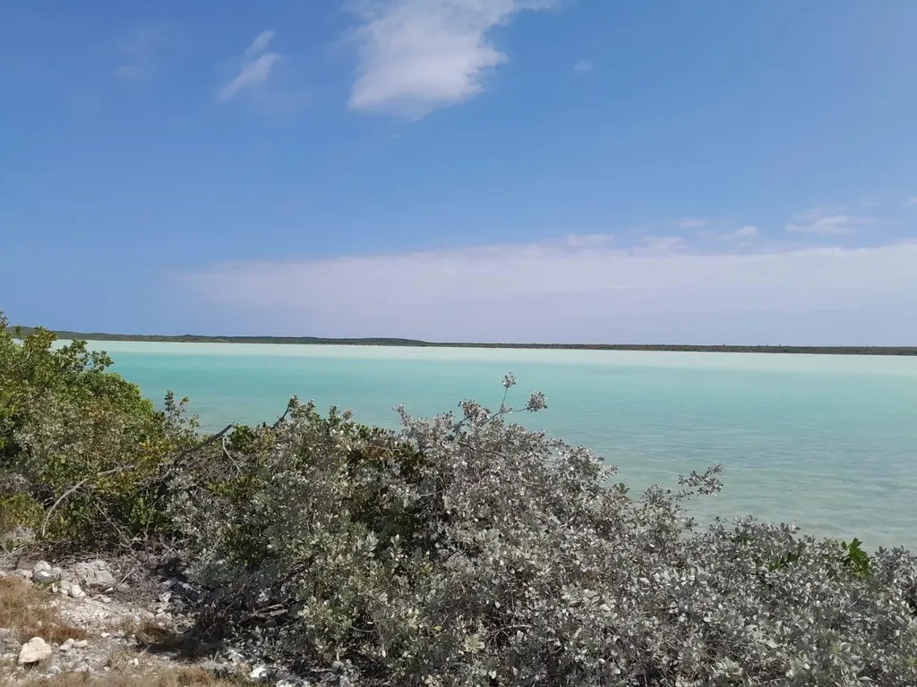 Abaco Deep Sea Cay Acres Abaco BS