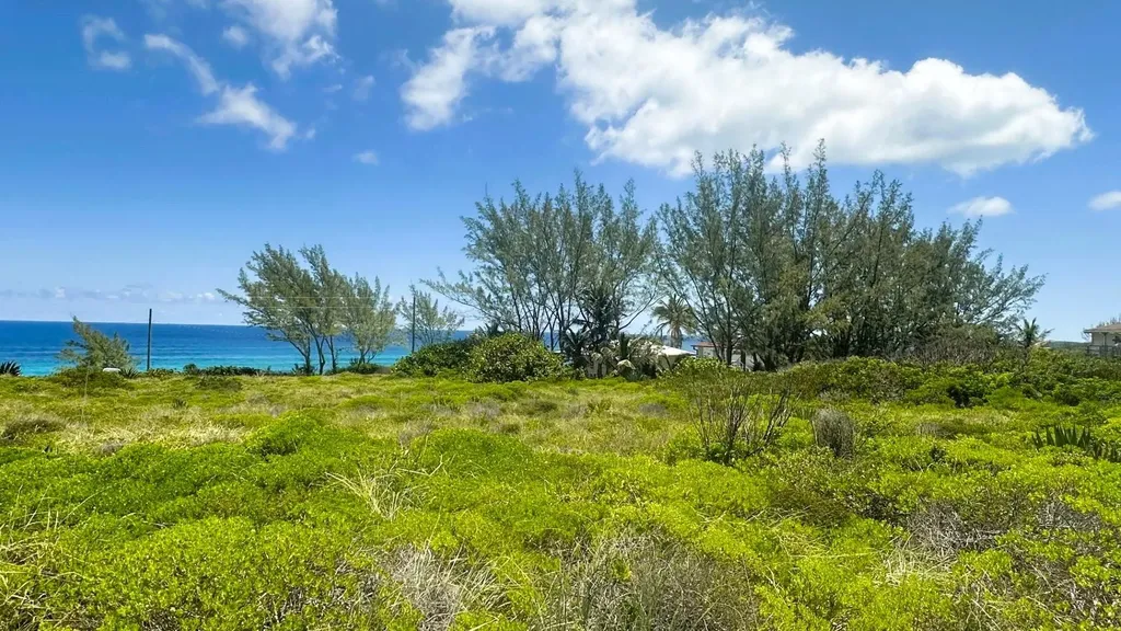 Lot 36 Smuggler's Hill Road Eleuthera BS